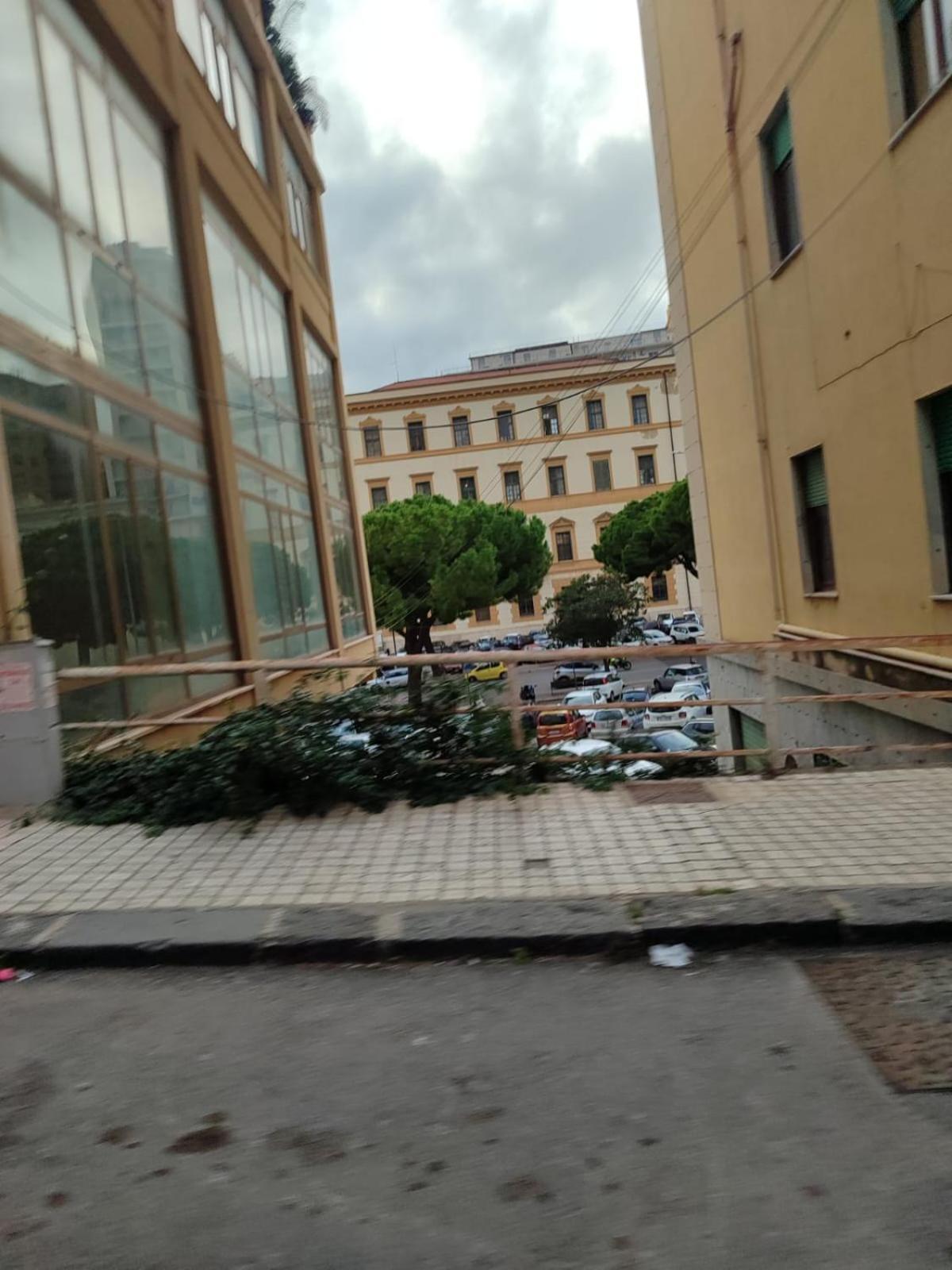San Vito 9 Lägenhet Agrigento Exteriör bild